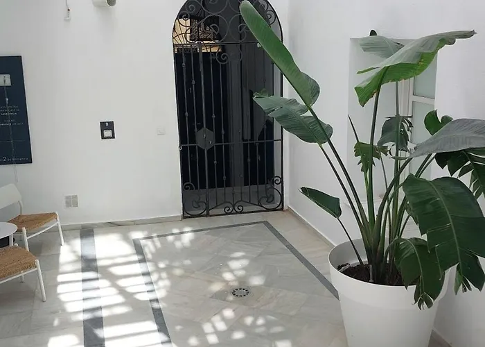 El 2 De Flamenco Bajob Cadiz